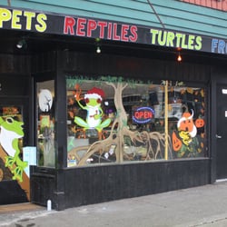 seattle reptiles closed pet stores everett wa yelp seattle reptiles closed pet stores everett wa yelp