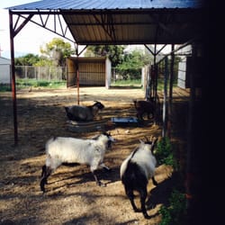bracken bird farm pet stores redlands ca united bracken bird farm pet stores redlands ca united
