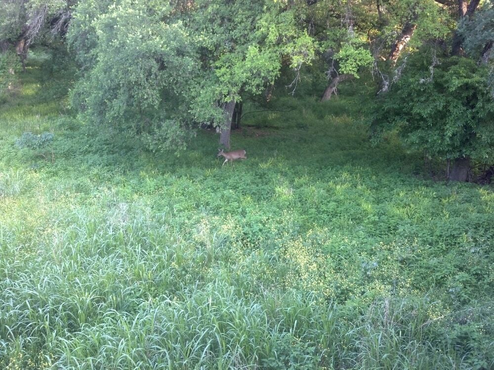 Walker Ranch Historic Landmark Park Parks San Antonio, TX Reviews