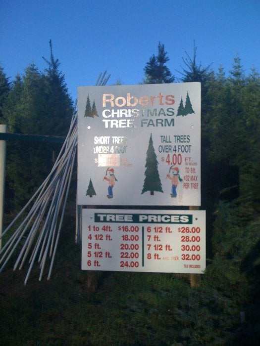 28 best apple hill christmas tree prices services and 28 best apple hill christmas tree prices services and