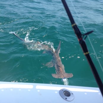 Above Average Fishing Charters Clearwater Beach Fl Above Average Fishing Charters Clearwater Beach Fl