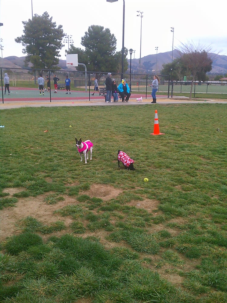 Central Park Dog Park 270 Photos Dog Parks Fremont, CA Reviews