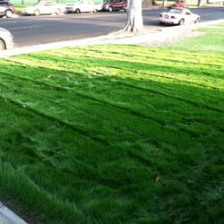 bill s hydroseed landscaping 20153 rockwell rd bill s hydroseed landscaping 20153 rockwell rd