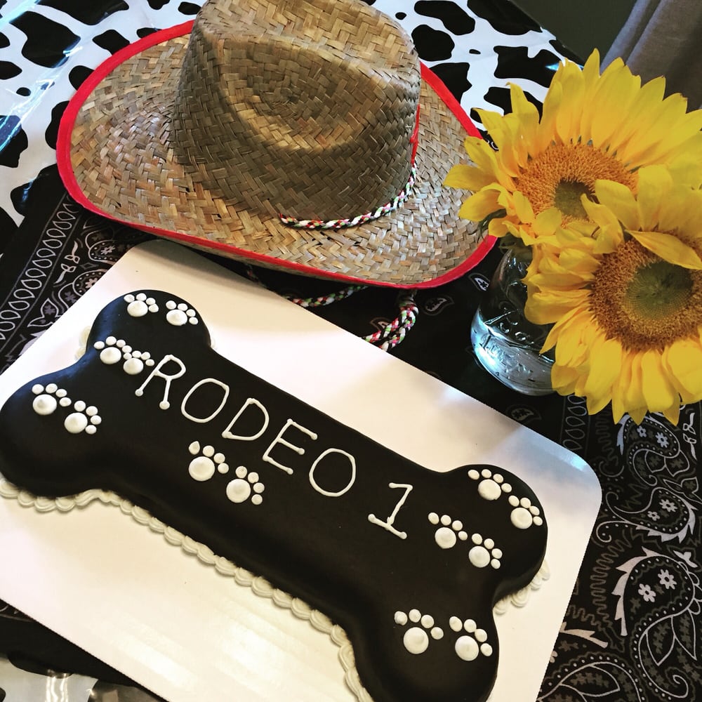 puppy boutique near me our pup rodeo loved his birthday cake amazing we also buy his food here great puppy boutique near me our pup rodeo loved his birthday cake amazing we also buy his food here great