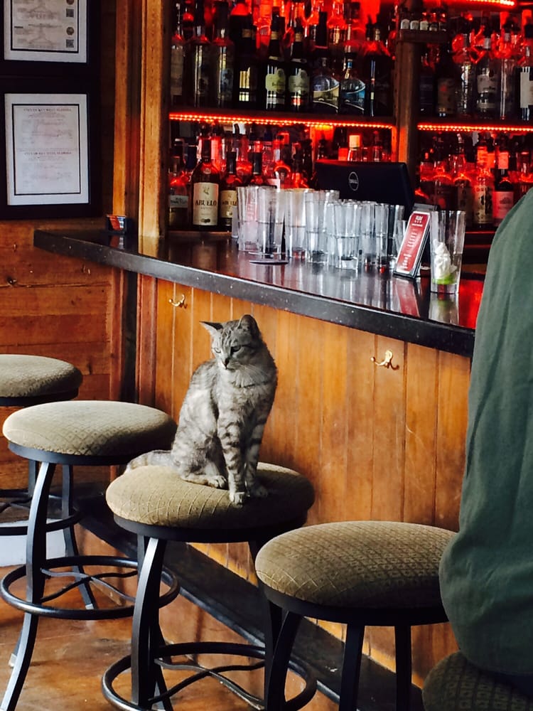 The Rum Bar Bars Key West, FL Yelp