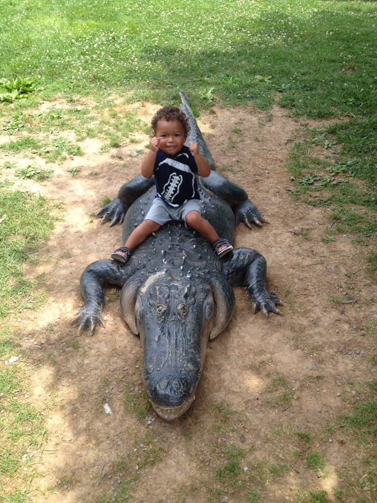 Natural Bridge Zoo 28 Photos Amusement Parks Natural Bridge, VA