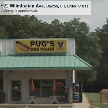 pug puppies dayton ohio pug s doghouse dogs dayton oh united states yelp pug puppies dayton ohio pug s doghouse dogs dayton oh united states yelp