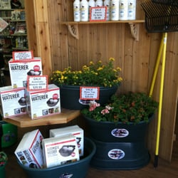 arizona feeds country stores pet stores tucson az yelp arizona feeds country stores pet stores tucson az yelp