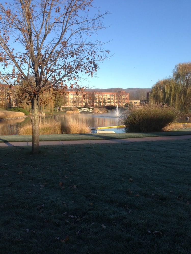 Watchtower Farms Wallkill, NY, United States Yelp