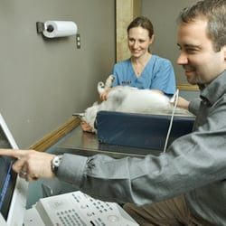 Deer Creek Animal Hospital logo
