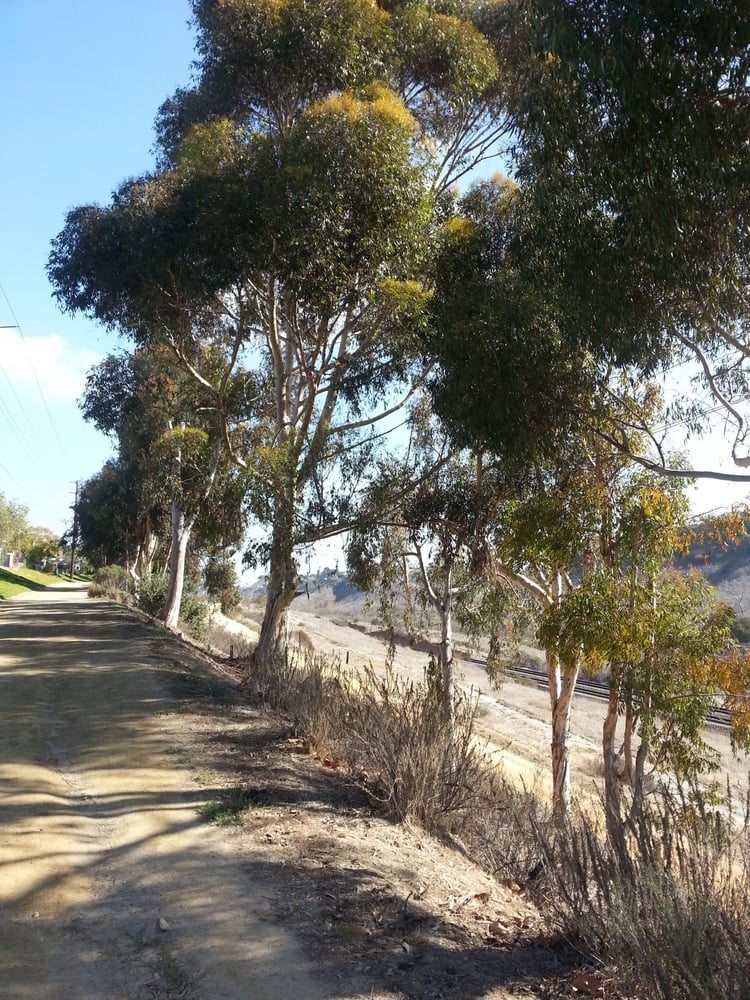 Rose Canyon Bicycle Path Parks La Jolla Sango Rose Canyon Bicycle Path Parks La Jolla Sango