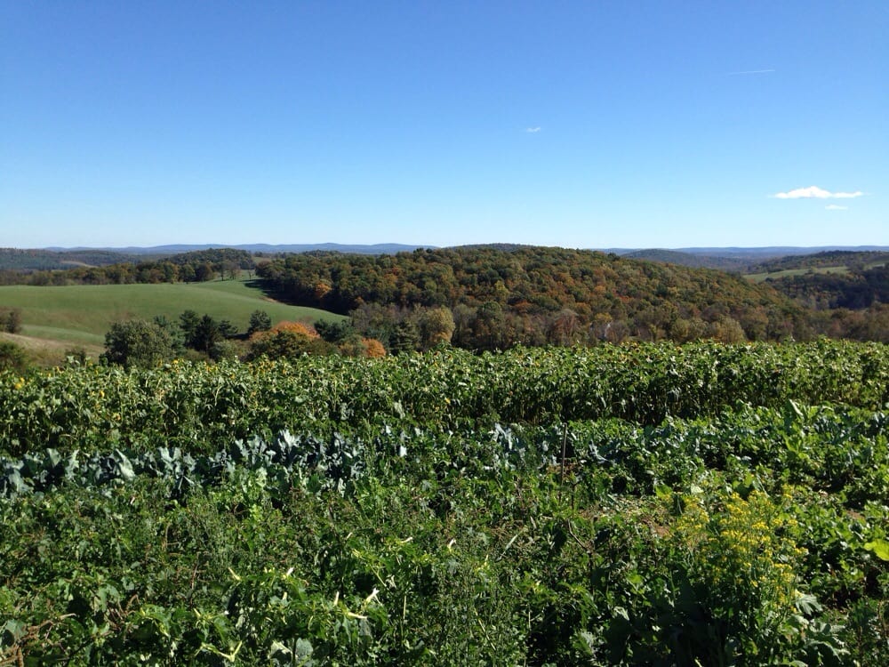 Hollin Farms Fruits & Veggies Delaplane, VA Reviews Photos Yelp