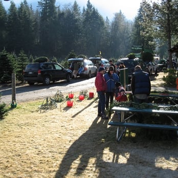 christmas creek tree farm home garden 15515 468th christmas creek tree farm home garden 15515 468th