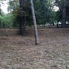 Yıldız Parkı