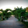 İzmir Kent Ormanı