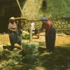 Türkiye Turkey
