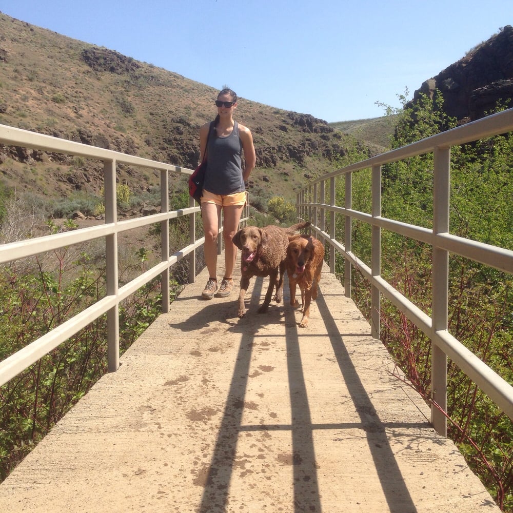 Uplands Trail of Cowiche Canyon 12 Photos Hiking 302 N 3rd St