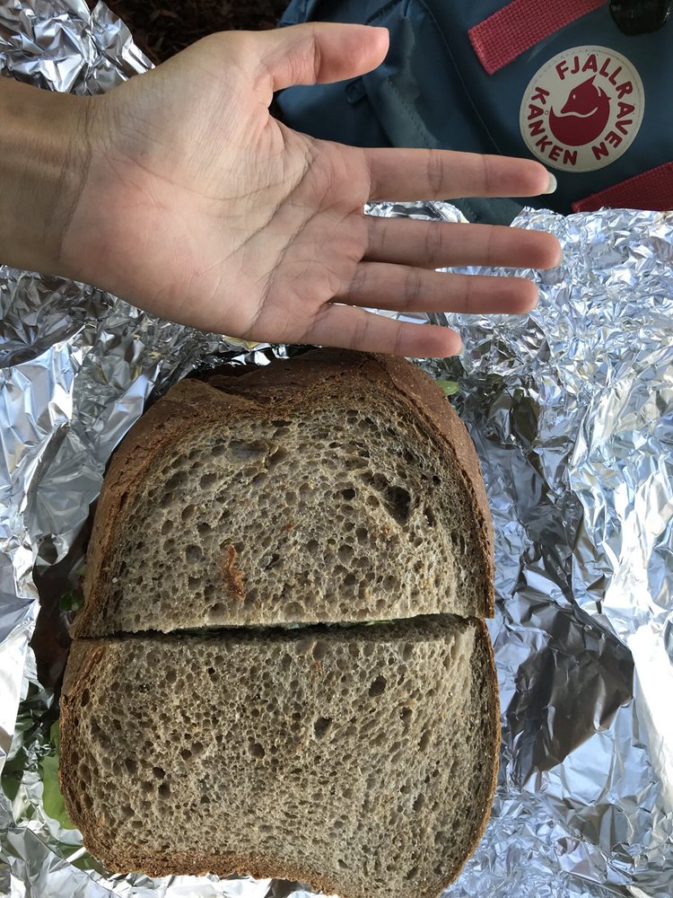 Big Bite on Pitt