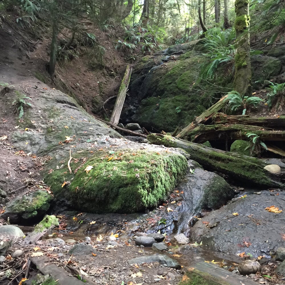 Coal Creek Falls Trail Hiking Newcastle, WA Reviews Photos Yelp