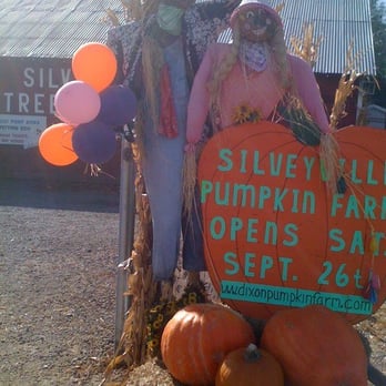 silveyville pumpkin patchdownload free software programs silveyville pumpkin patchdownload free software programs