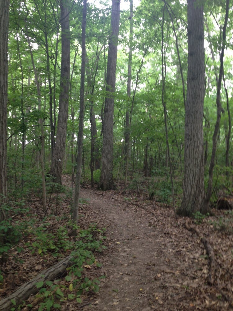 Lillie Park 19 Photos Parks 4200 Platt Rd Ann Arbor, MI