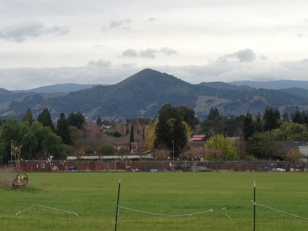 Castillo’s Hillside Shire Winery 47 Photos Wineries 2215 Liberata