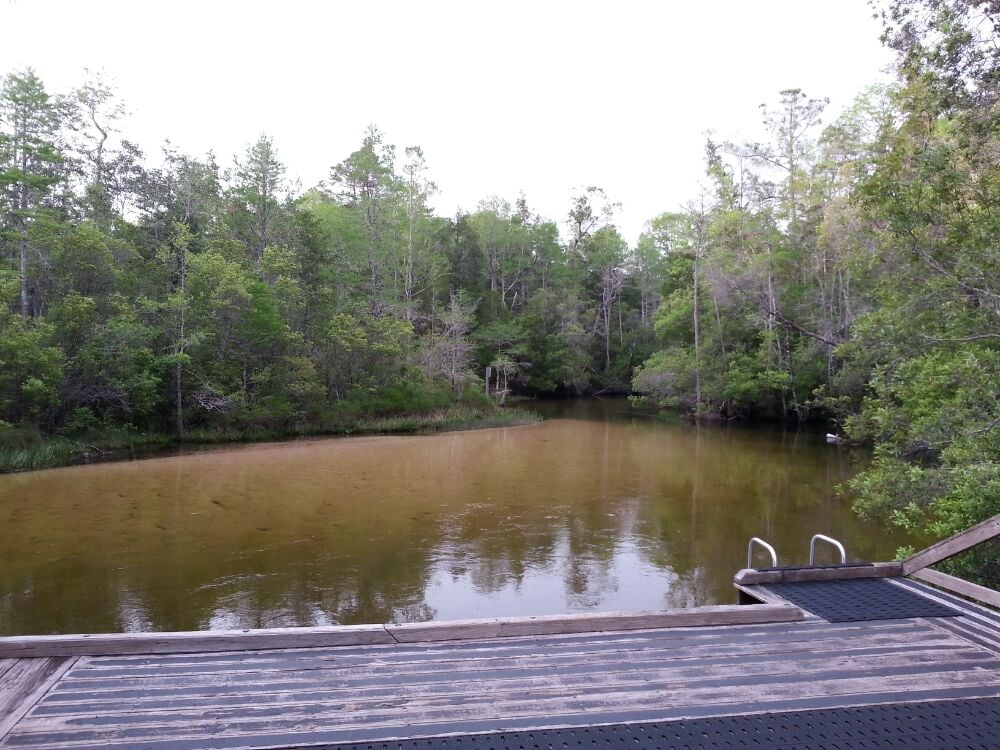 Turkey Creek Park Parks Niceville, FL Yelp