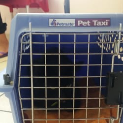 pet care veterinary center chesterfield square los ngeles ca pet care veterinary center chesterfield square los ngeles ca