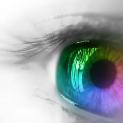 Sachse Eye Associates Optometrists 5120 Hwy 78 Tx Photo Of Sachse Eye Associates Tx United States