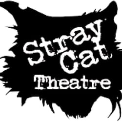 stray theatre stray cat theatre az yelp stray theatre stray cat theatre az yelp