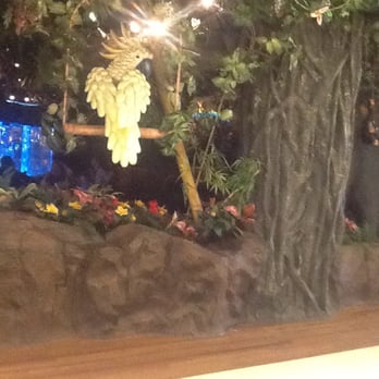 Rainforest Cafe Gurnee Mills Rainforest Cafe Gurnee Mills