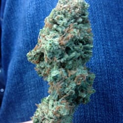 Mile High Green Cross logo
