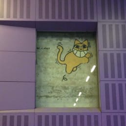 Mr chat