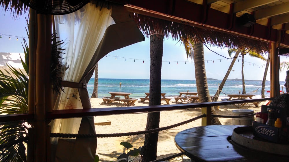 Iggie’s Beach Bar & Grill 21 Photos Dive Bars Saint Thomas