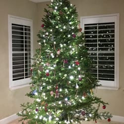 reno christmas trees christmas trees 4545 s virginia reno christmas trees christmas trees 4545 s virginia