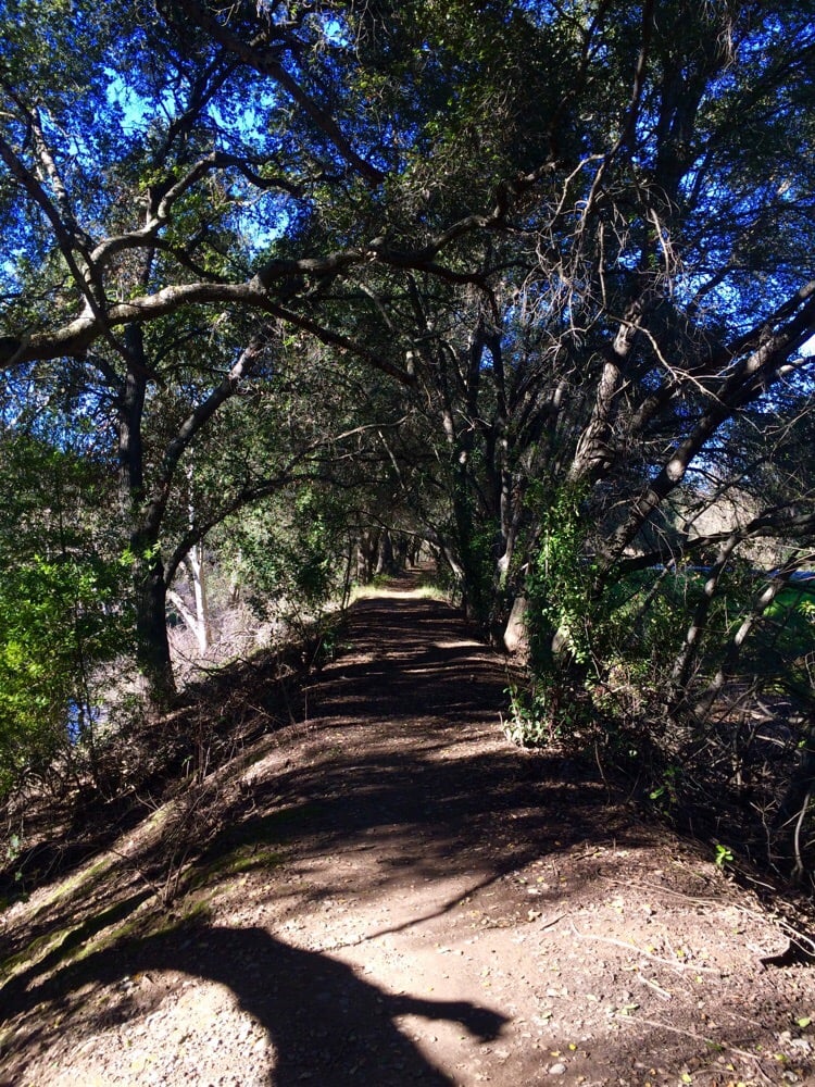 Christmas Hill Park 18 Photos Parks 7050 Miller Ave Gilroy, CA