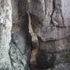 Michaux State Forest
