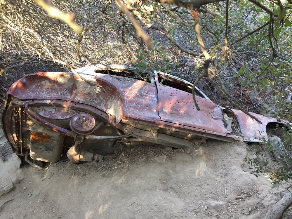 Aliso and Wood Canyons Wilderness Park 330 Photos Parks Laguna