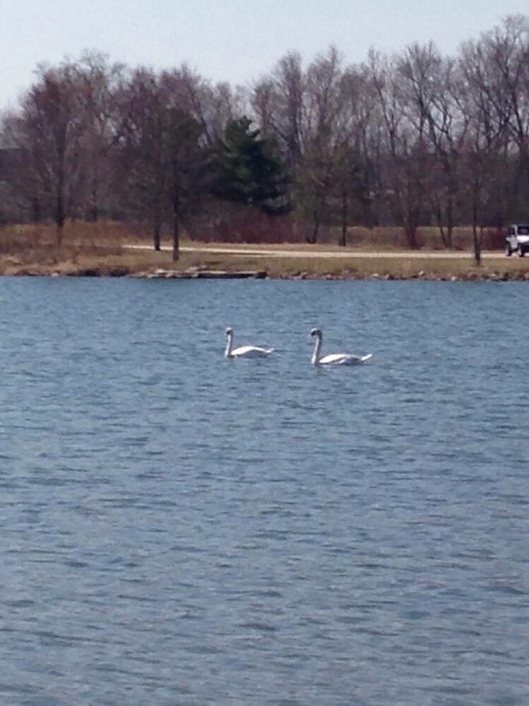 Independence Grove Forest Preserve 193 Photos Boating 16400 W