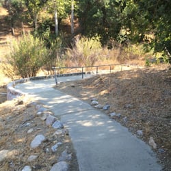 Oak of the Golden Dream