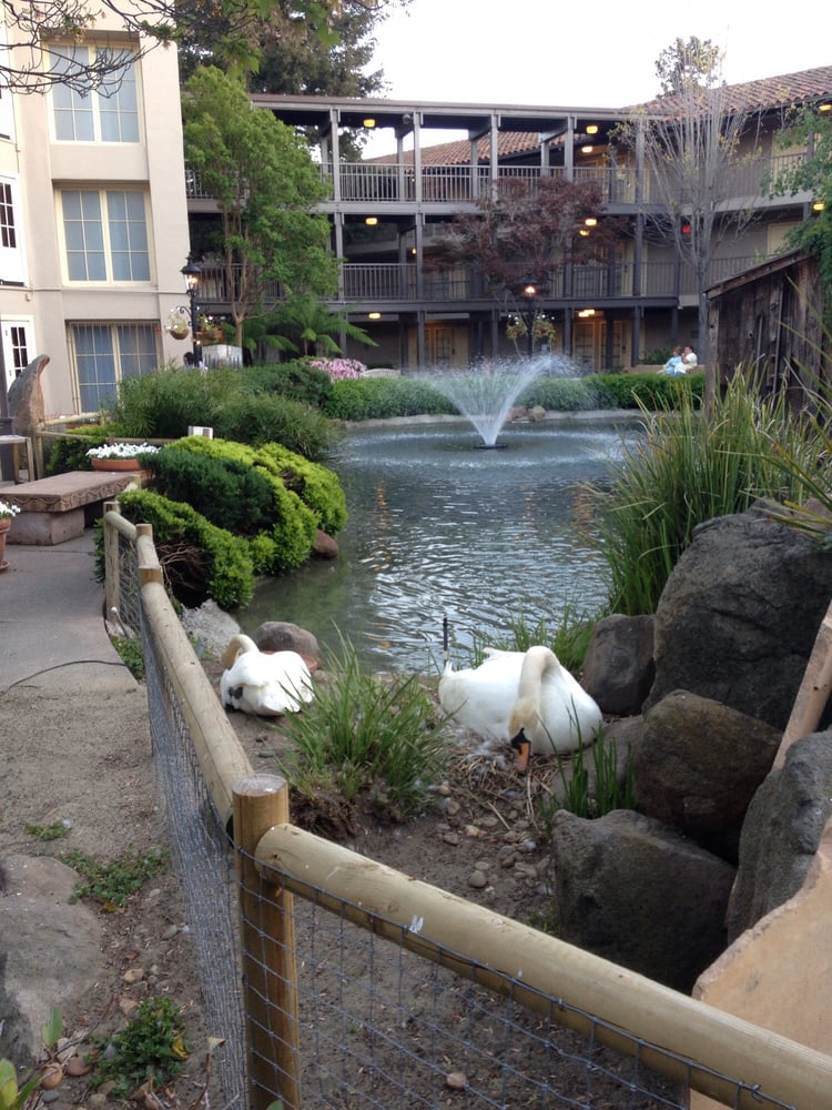 Napa Valley Hotel And Suites Yelp Napa Valley Hotel And Suites Yelp