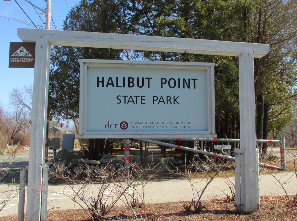 Halibut Point State Park 92 Photos Parks Rockport, MA Reviews