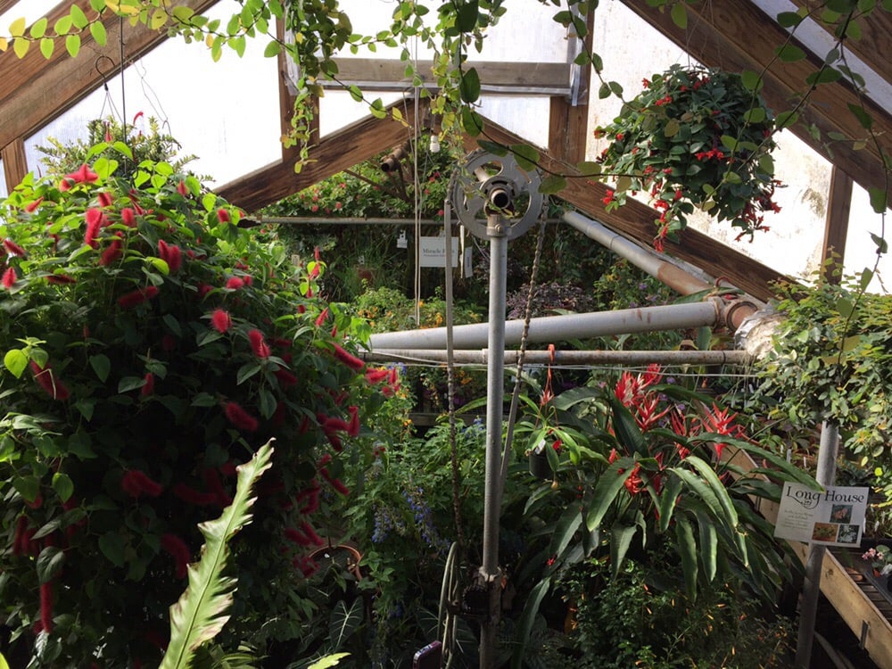 Greenhouse And Nursery Jobs Near Me at Rodney Hamby blog