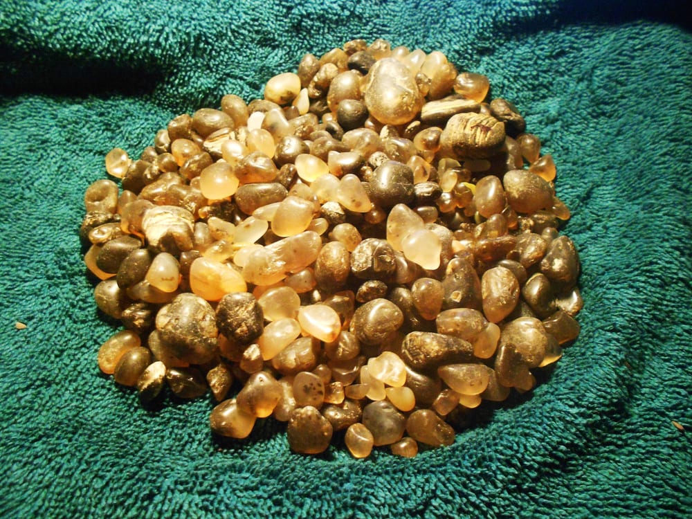 Agate Beach Bolinas Tide Chart