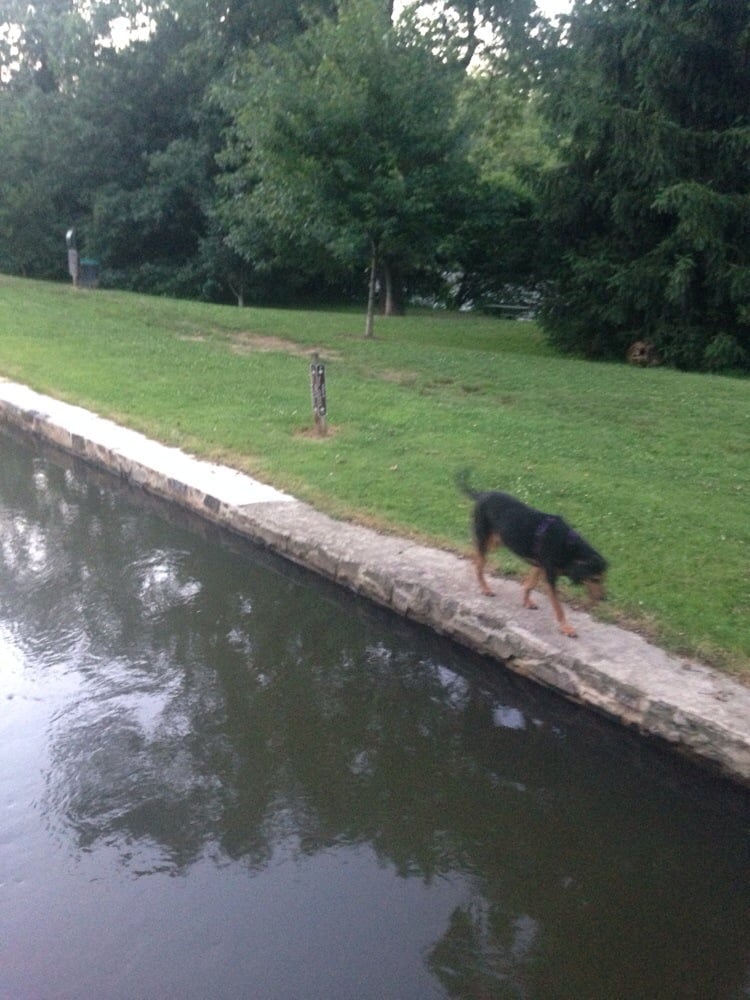 Brandywine Dog Park Wilmington De Brandywine Dog Park Wilmington De
