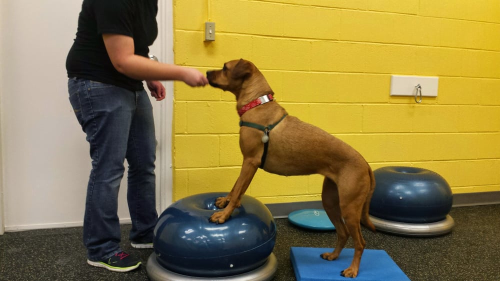 richard stockton physical therapy