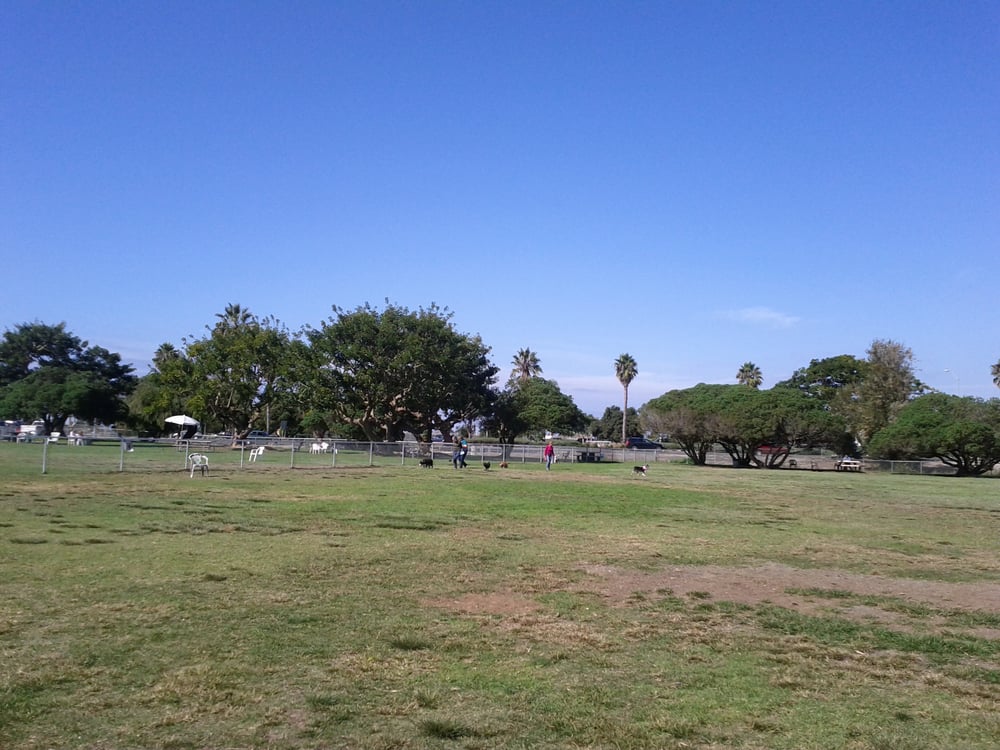 Dusty Rhodes Off-Leash Dog Park