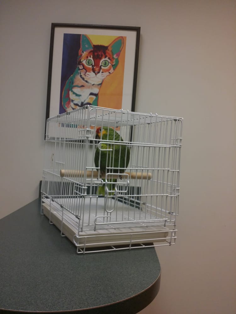 Chicago Exotics Animal Hospital Veterinarians Skokie, IL Yelp