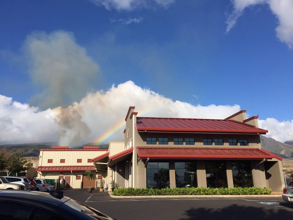 Star Noodle 2606 Photos Asian Fusion 286 Kupuohi St Lahaina, HI Reviews Menu Yelp