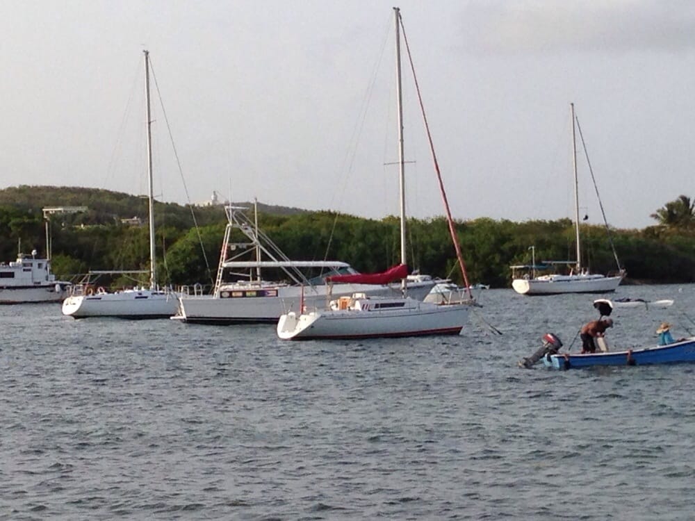 Fajardo Bioluminescent Bay 29 Photos Rafting/Kayaking Laguna